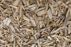 biomass boilers Stonymarsh